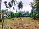 Land for Sale in Veyangoda