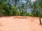 Land for Sale in Veyangoda