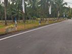 Land for Sale In Veyangoda