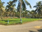 Land for Sale in Veyangoda