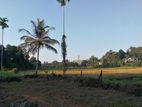 Land for Sale in Veyangoda