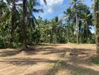 Land for Sale in Veyangoda