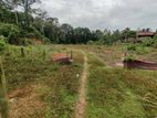 Land for Sale in Veyangoda