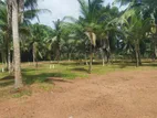 land for sale in veyangoda