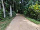 Land for Sale in Veyangoda