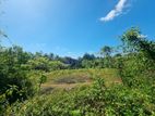 Land for Sale in Veyangoda