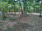 Land For Sale In Veyangoda