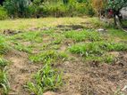 Land for Sale in Veyangoda