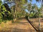 Land for Sale in Veyangoda