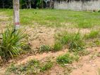 Land for Sale in Veyangoda