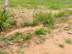 Land for Sale in Veyangoda