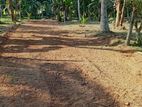 Land For Sale In Veyangoda
