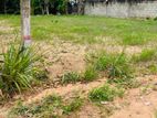 Land for Sale in Veyangoda