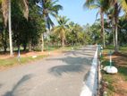 Land for Sale in Veyangoda