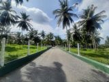 Land for Sale in Veyangoda