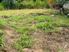 Land for Sale in Veyangoda