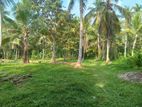 Land For Sale in Veyangoda