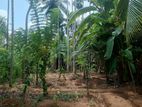 Land For Sale In Veyangoda