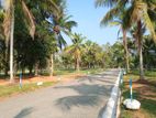 Land for sale in Veyangoda