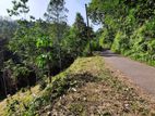 Land For Sale In Veyangoda
