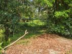 land for sale in Veyangoda, Gampaha