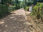 Land for Sale in Veyangoda (SSPL 64)