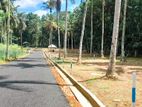 Land for Sale in Veyangoda,T105