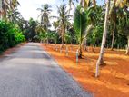 Land for Sale in Veyangoda,T31