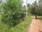 Land for Sale in Vilaththawa