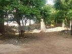 land for sale in Vimalawattha road