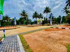 Land for sale in Wadduwa coastline C33
