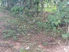 Land for sale in Wadduwa.