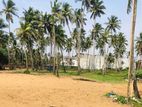 Land for Sale in Wadduwa