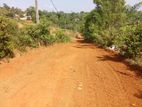 Land for Sale in Wadduwa