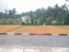 Land for Sale in Wadduwa