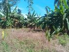 Land for Sale in Wadduwa