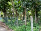 Land for Sale in Wadduwa