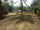Land for Sale in Wadduwa