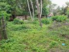 Land for sale in Wadduwa