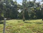 Land for Sale in Wadduwa