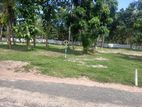 Land for sale in wadduwa Molligoda