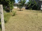 Land for Sale in Wadduwa Pothupitiya