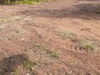 Land For Sale in Wadduwa (SSPL-193)