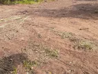 Land For Sale in Wadduwa (SSPL-193)