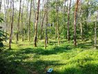 Land for Sale in Waga, Padukka