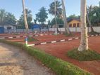 Land for Sale in Walana M21