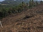 Land for Sale in Walasmulla