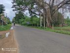 Land for Sale in Walasmulla Town Facing the Main Road