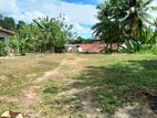 Land for Sale in Walgama