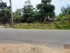 Land for sale in Walgama matara.